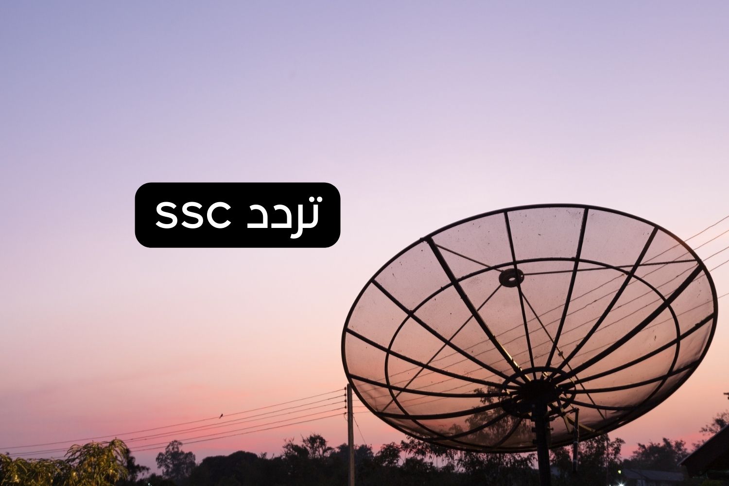 تردد قناة تردد ssc-min