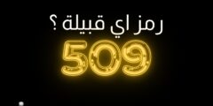 509 رمز اي قبيلة وما هو نسبها وأهم فروعها وديرتها