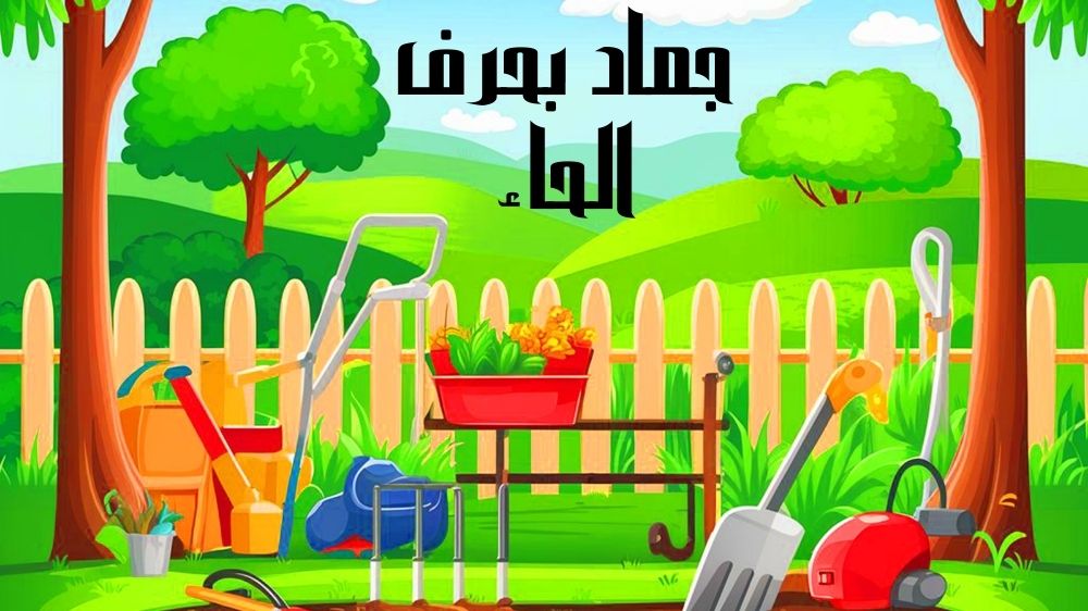 أسماء جماد بحرف ح تعرف على أشهر جمادات تبدأ بحرف الحاء