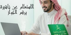 الاستعلام عن تأشيرة برقم الجواز عبر المنصات المختلفة