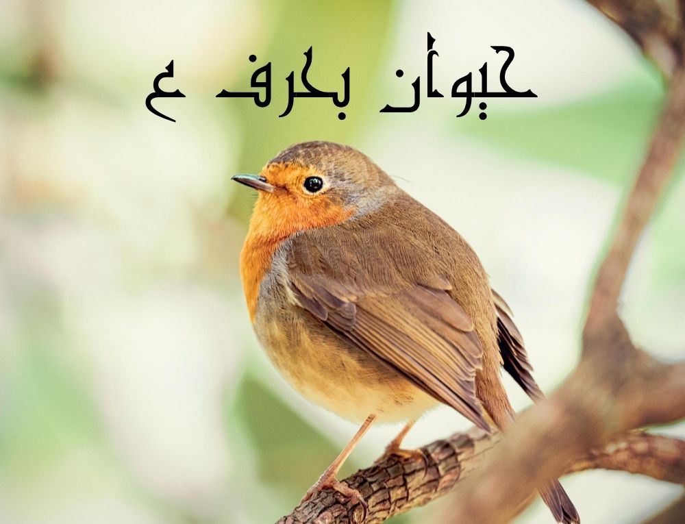 حيوان بحرف ع