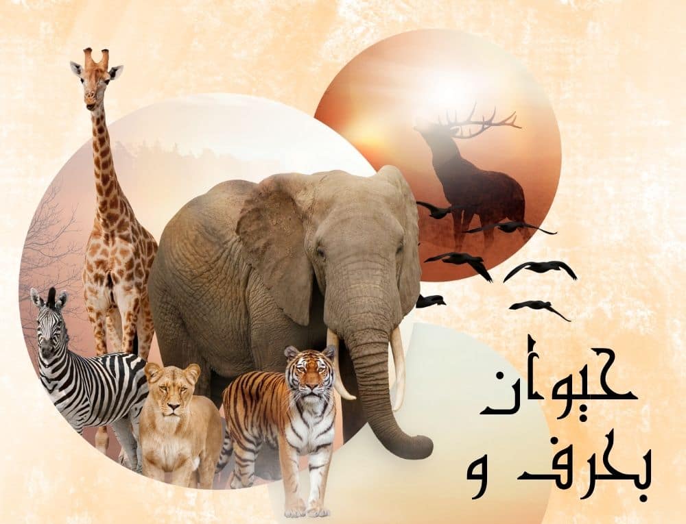حيوان بحرف و