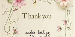 رد الجميل كلمات شكر وثناء لشخص قدم العطاء وأجمل عبارات الشكر رد الجميل كلمات شكر وثناء لشخص قدم العطاء وأجمل عبارات الشكر