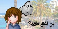 اين تقع ماربيا؟ وما مميزاتها؟ وما أشهر معالمها السياحية؟