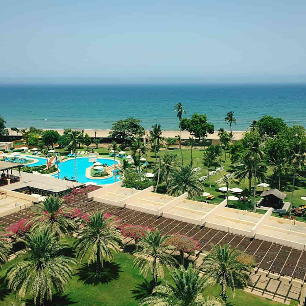 حمام سباحة وسط مجموعة أشجار