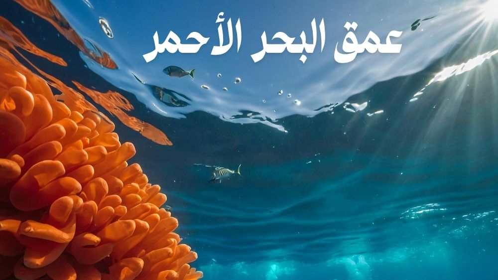 عمق البحر الاحمر