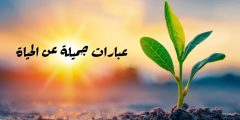 عبارات جميلة عن الحياة وأروع الاقتباسات والحكم والأمثال