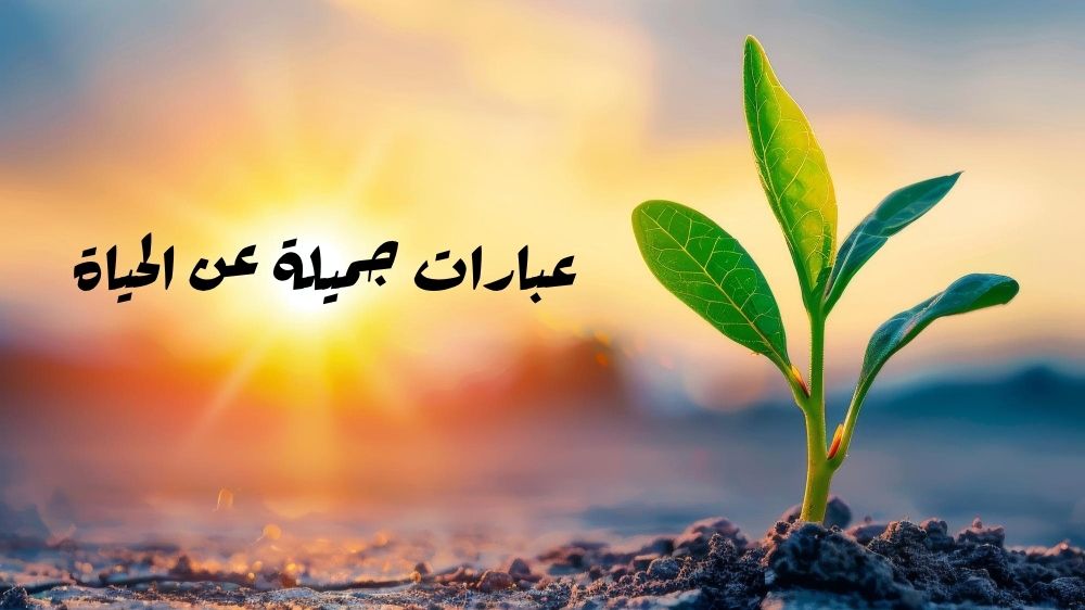 عبارات جميلة عن الحياة