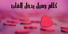 كلام جميل يدخل القلب وأجمل عبارات تلامس المشاعر والأحاسيس