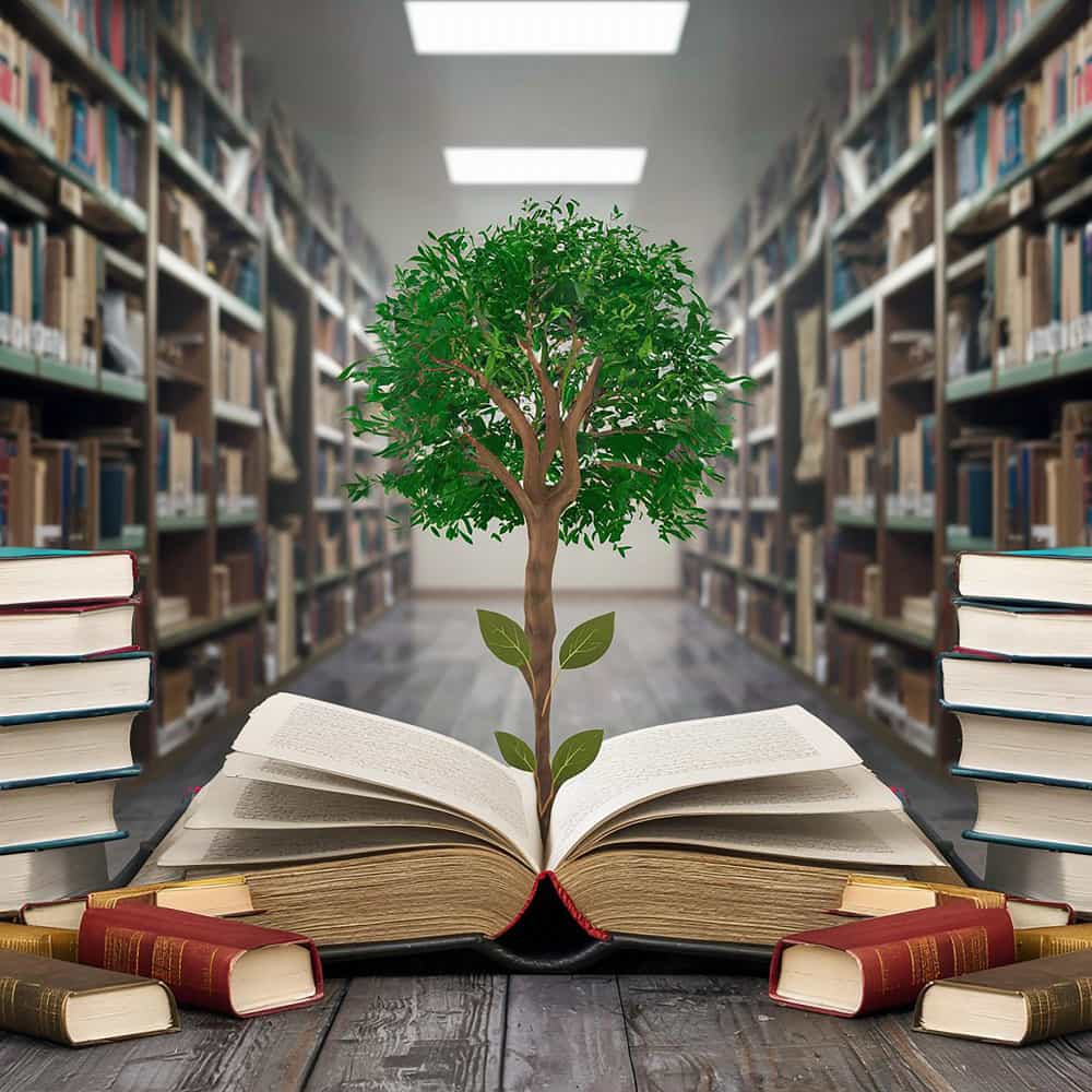 شجرة تنبت من داخل كتاب