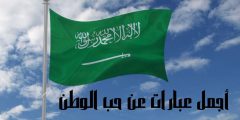 أجمل عبارات عن حب الوطن وأهم مظاهر الاحتفال باليوم الوطني