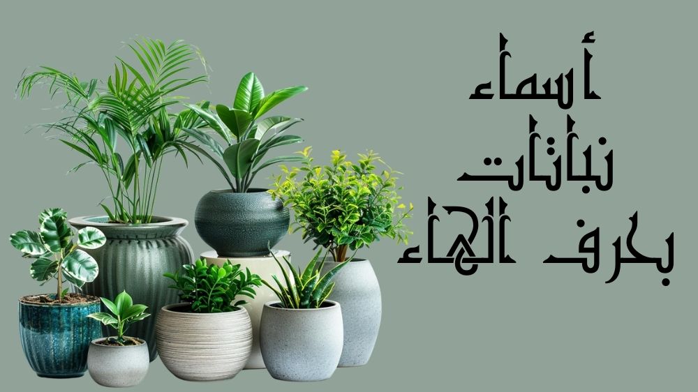 أسماء نباتات بحرف الهاء