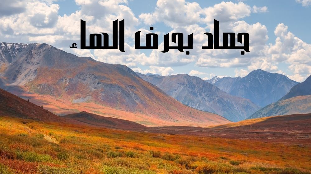 جماد بحرف الهاء