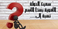 سميت الدولة الأموية بهذا الاسم نسبة إلى الخلفاء الذين حكموا