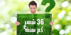 36 شهر كم سنه؟ وما كيفية استخدام حاسبة تحويل الأشهر؟
