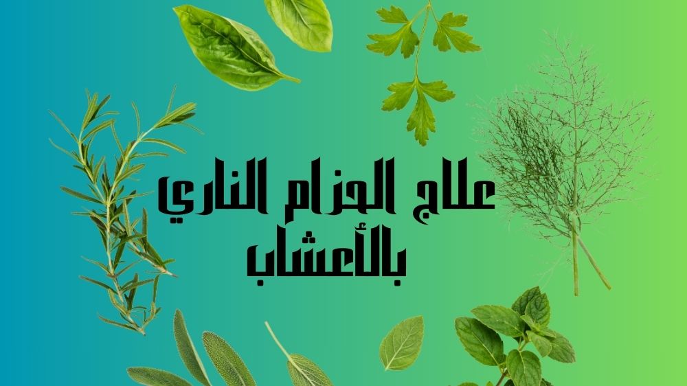 علاج الحزام الناري بالأعشاب