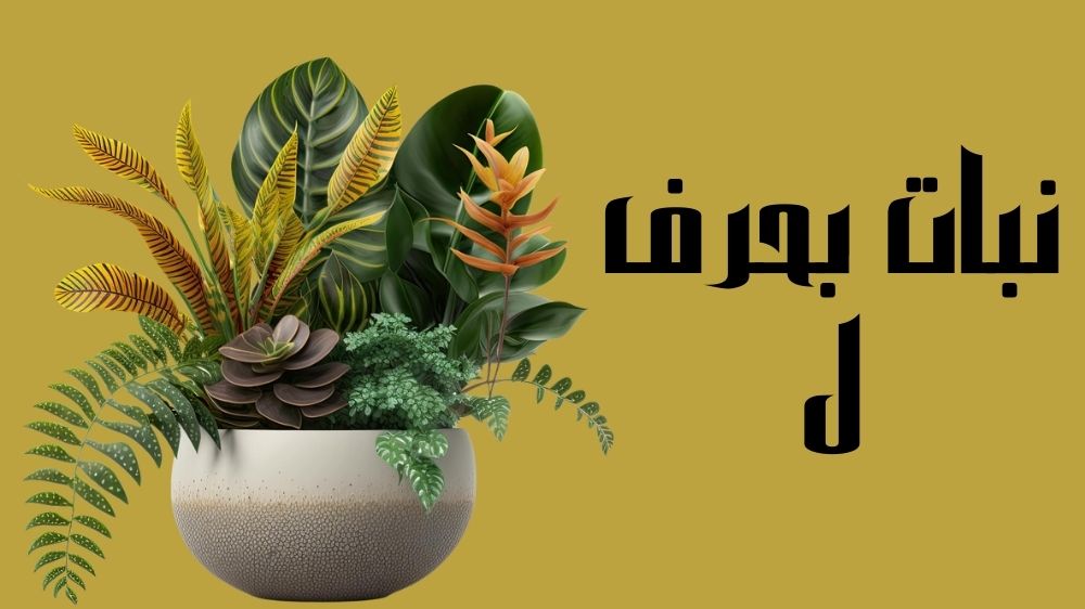 نبات بحرف ل