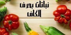 أسماء نباتات بحرف الكاف وأهم المعلومات عنها تعرف عليها