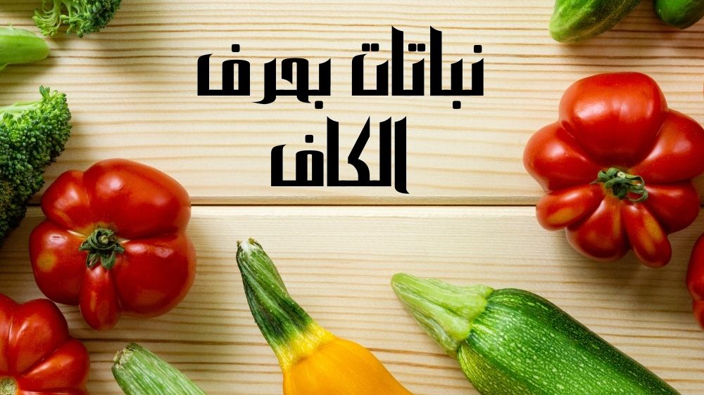 نباتات بحرف الكاف