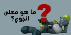 ما هو معنى انجوي؟ وما كيفية الرد عليها بالعربية والإنجليزية؟