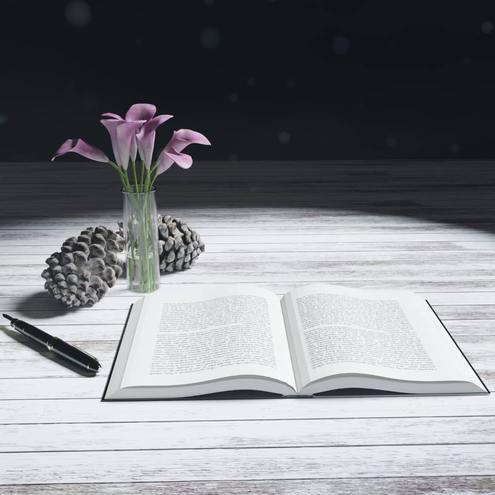 كتاب مفتوح وبجواره قلم ومزهرية