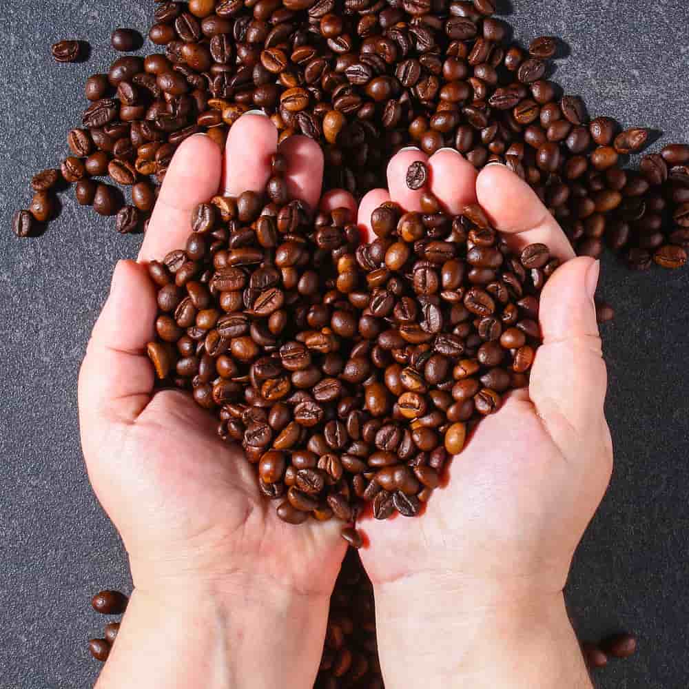 يد تحمل حبوب البن