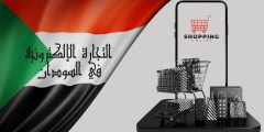 أنواع التجارة الالكترونية في السودان وأهم مميزاتها وعيوبها