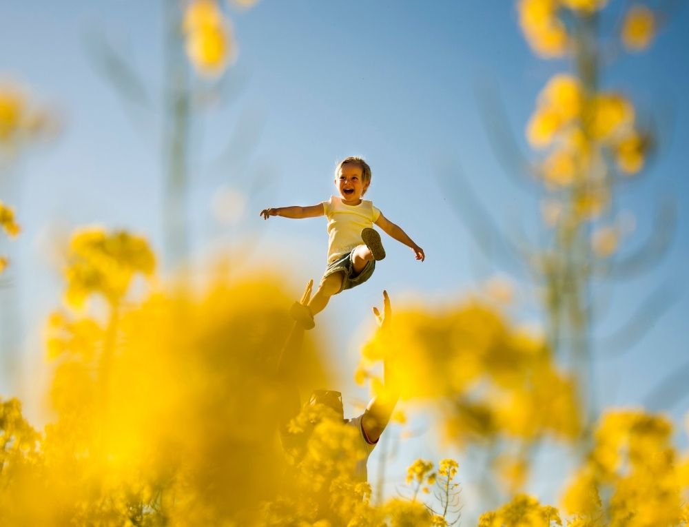 أب يلاعب طفله بين الأزهار الصفراء