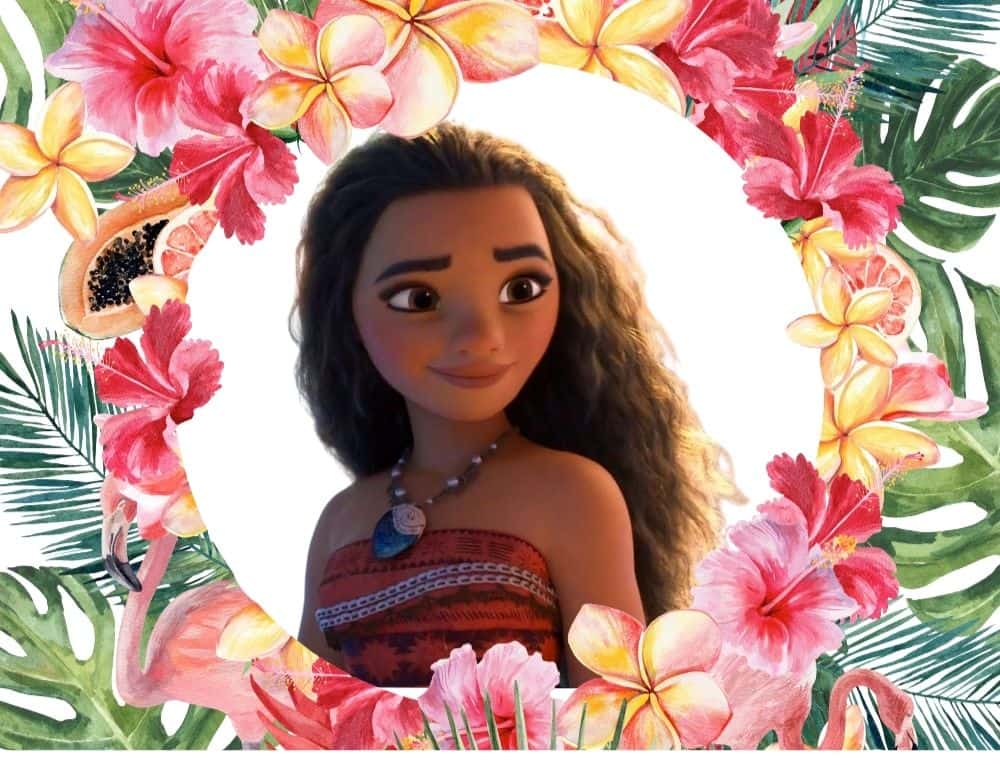 الأميرة موانا Moana