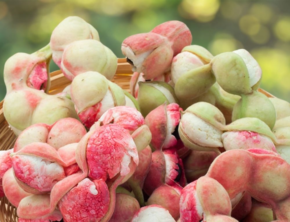 اللوز الهندي