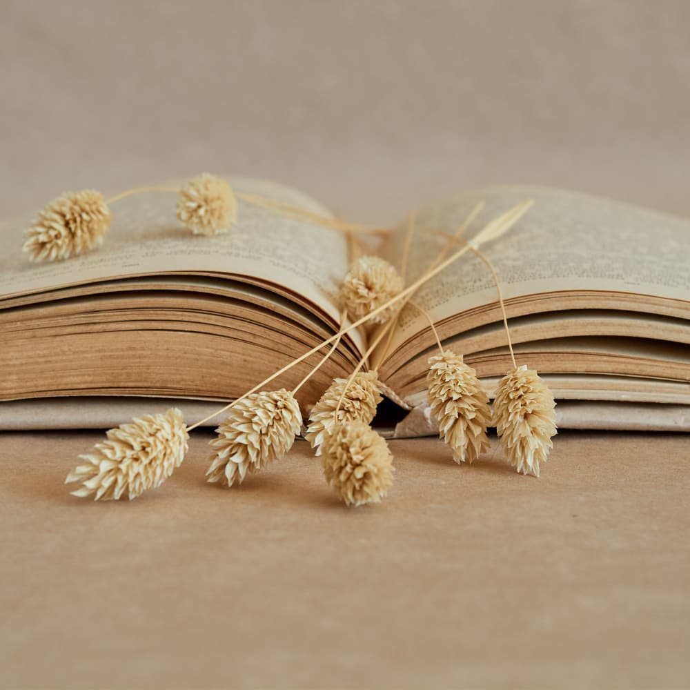 زهور فوق صفحات كتاب مفتوح