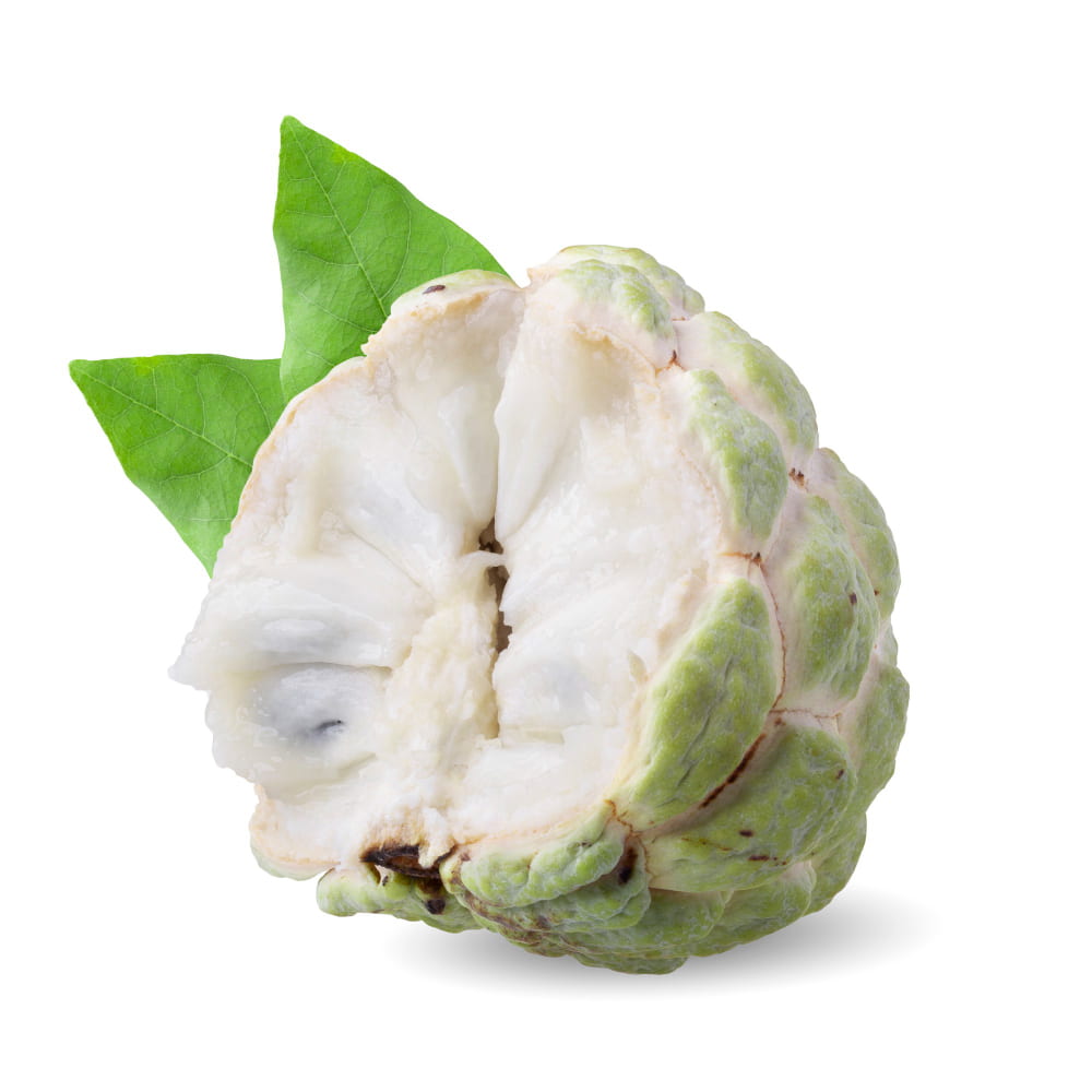 فاكهة القشطة