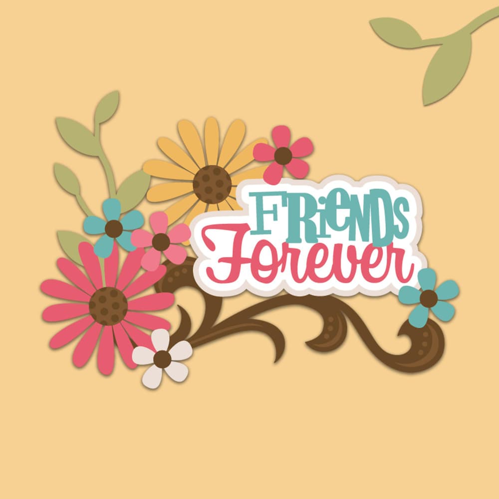 عبارة أصدقاء للأبد
