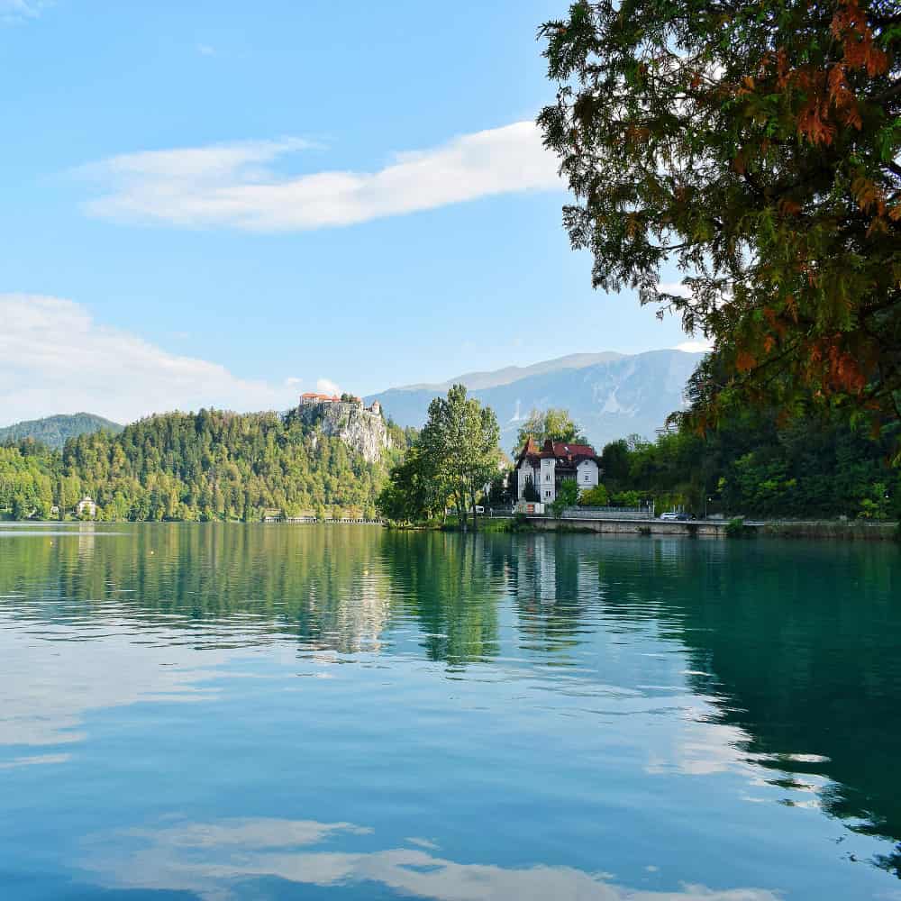 بحيرة وأشجار