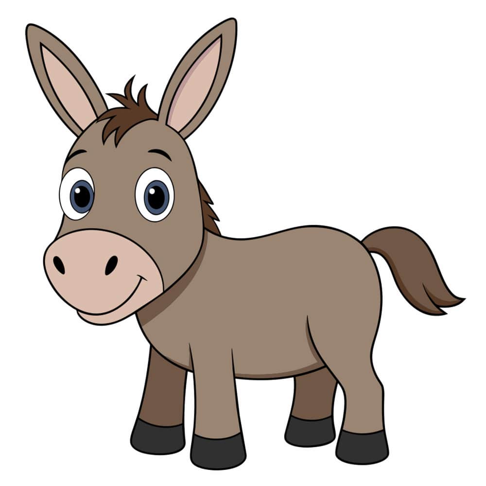 صورة حمار صورة حمار