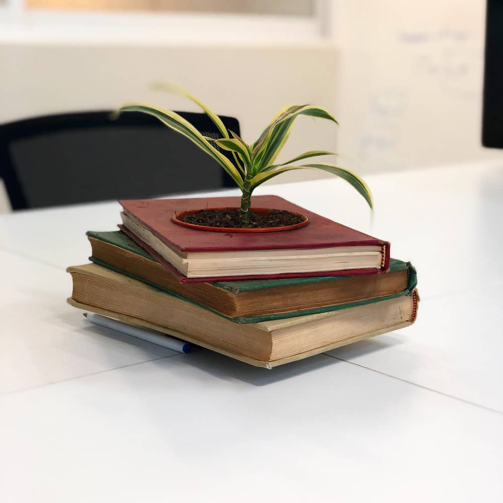 مجموعة كتب يخرج منها نبات مجموعة كتب يخرج منها نبات