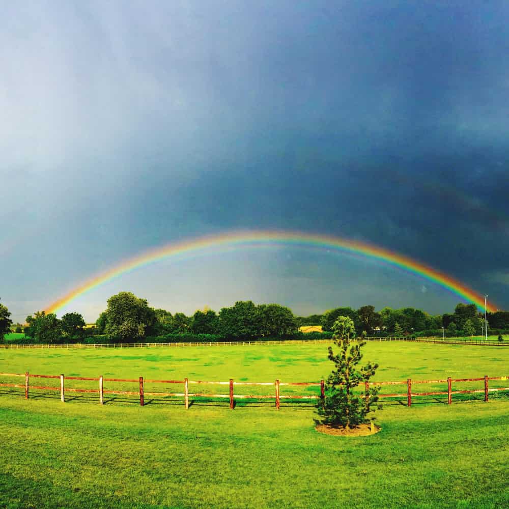 مساحة خضراء ويظهر في السماء قوس قزح مساحة خضراء ويظهر في السماء قوس قزح