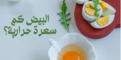 البيض كم سعرة حرارية وما مصدرها وكيفية تناوله لإنقاص الوزن