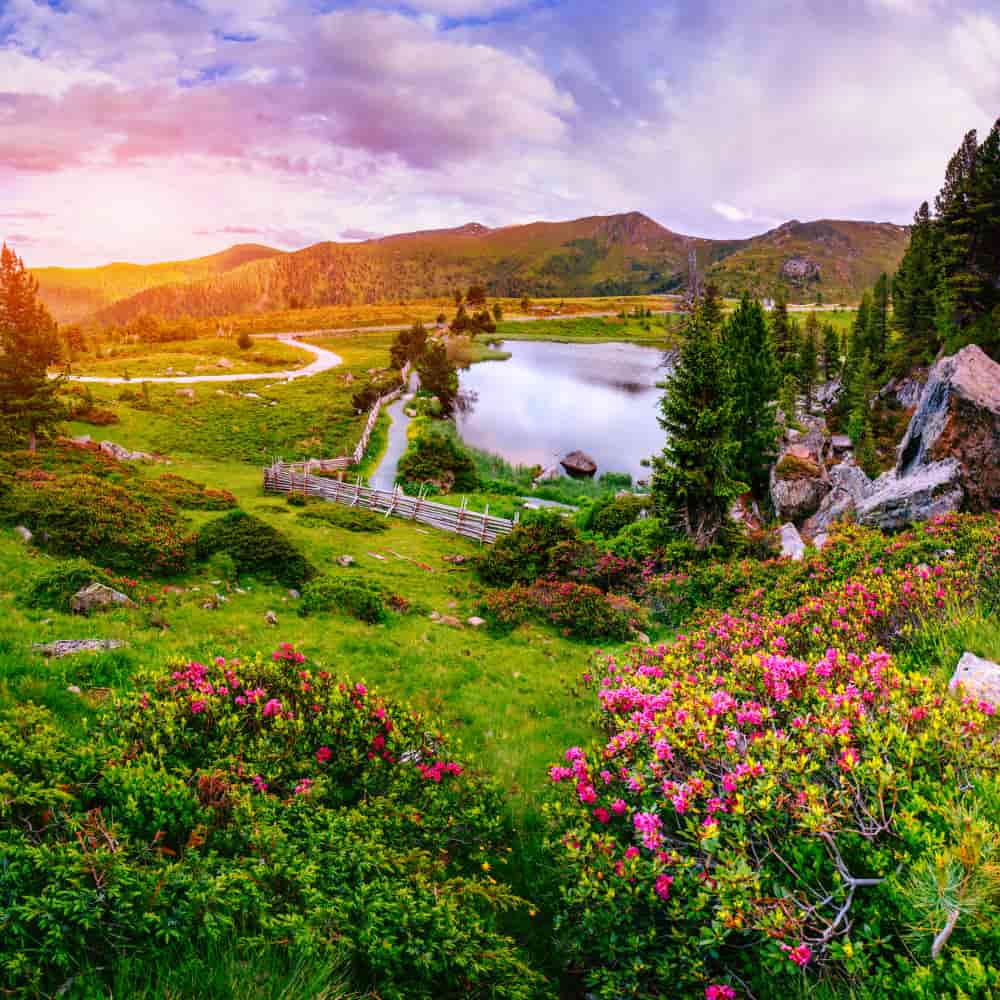 صورة مناظر طبيعية صورة مناظر طبيعية