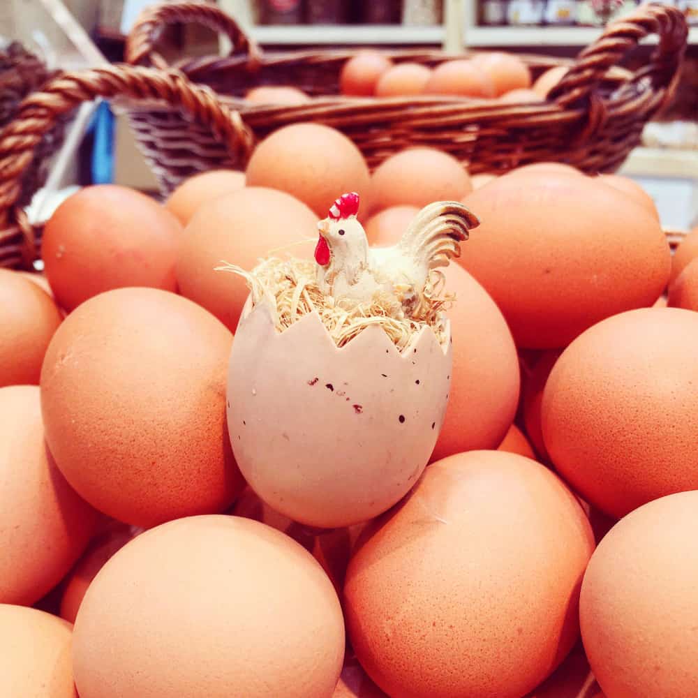 مجموعة من البيض وتخرج دجاجة من احدهما
