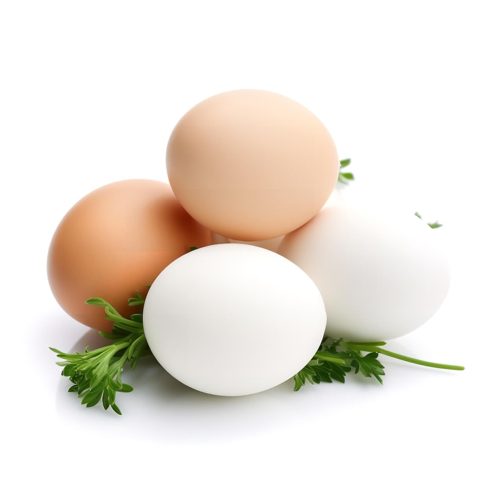 مجموعة من البيض