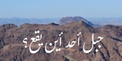 جبل احد اين يقع وكم يبعد عن المدينة أبرز المعلومات عنه