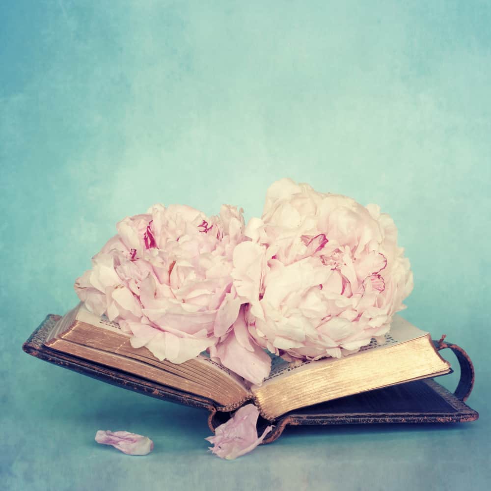 مجموعة ورود داخل كتاب